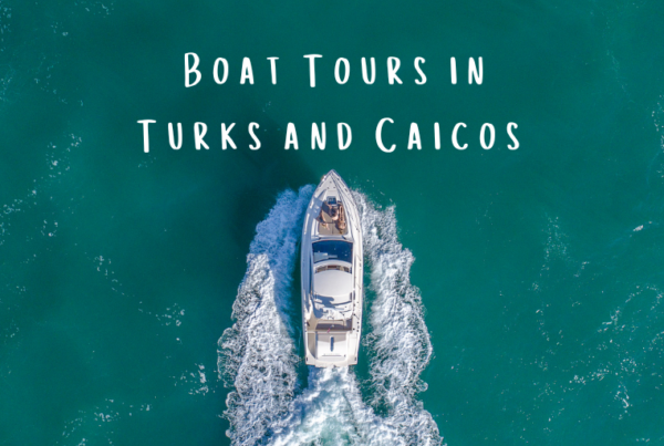 Boat Tours in Turks and Caicos - The Ultimate Guide