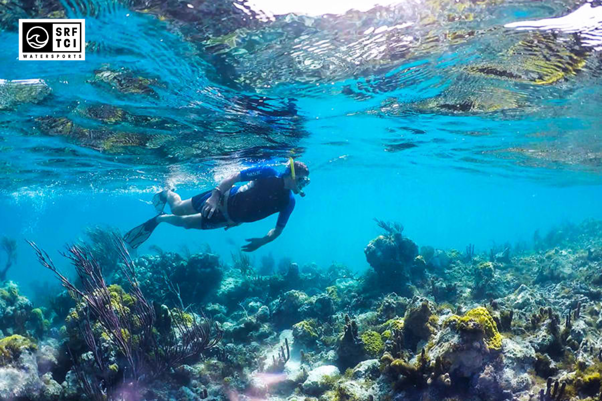 10 Best Snorkeling Locations in the Providenciales