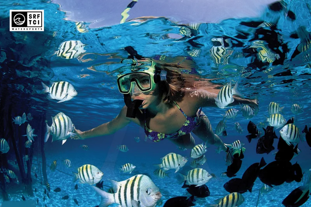Snorkeling 