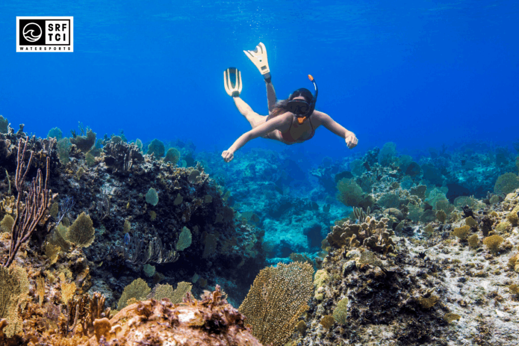 Subwing Diving