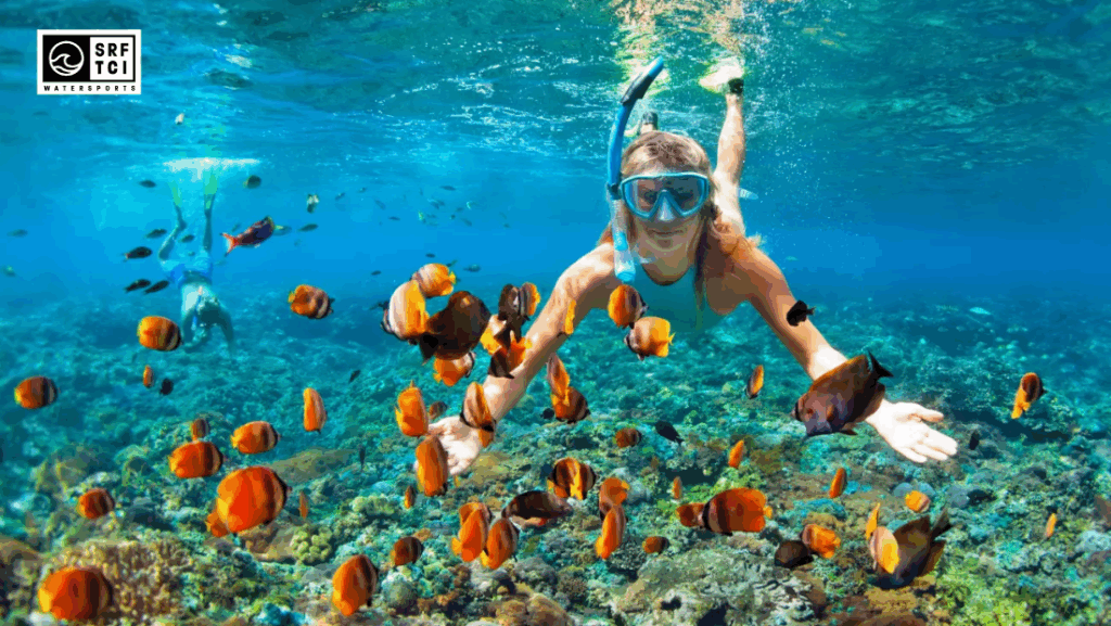 Ultimate Snorkeling Adventures