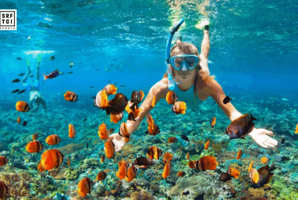 Ultimate Snorkeling Adventures