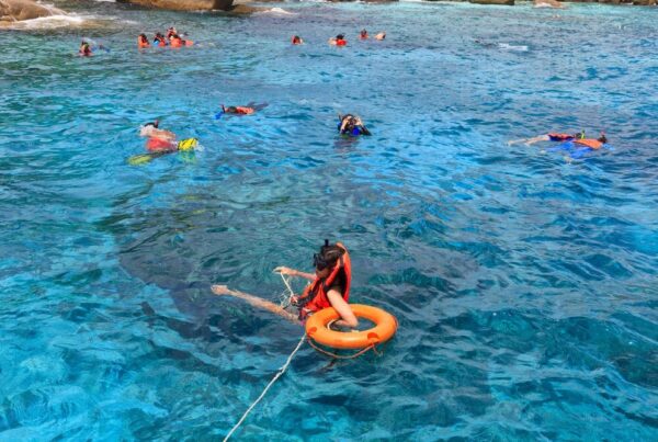 Subwing Diving vs Snorkeling The Ultimate Underwater Adventure in Turks & Caicos