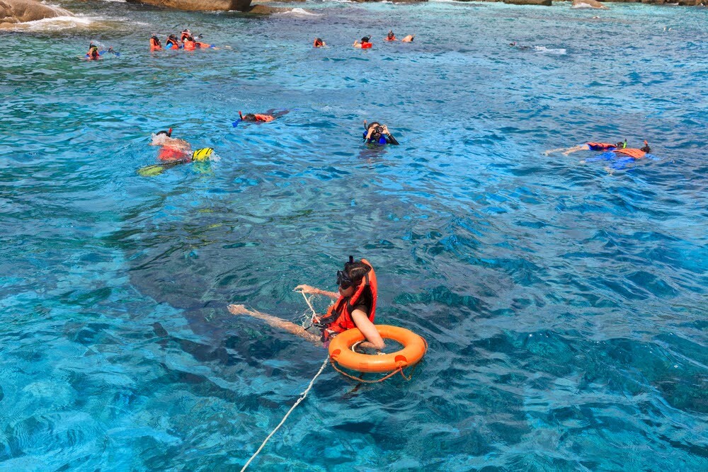 Subwing Diving vs Snorkeling The Ultimate Underwater Adventure in Turks & Caicos