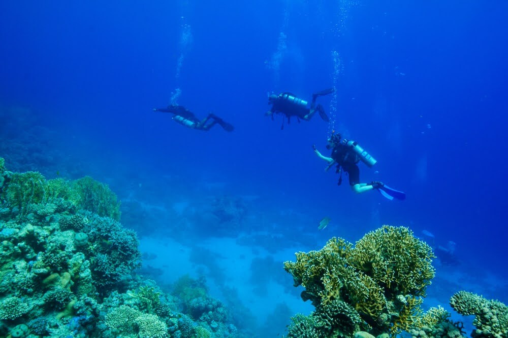 What Is Subwing Diving